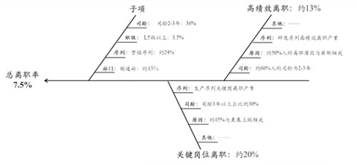 尊龙凯时科技人力资源治理系统数据剖析示例