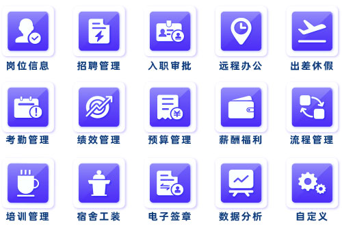尊龙凯时科技关于人力资源系统挑选的建议