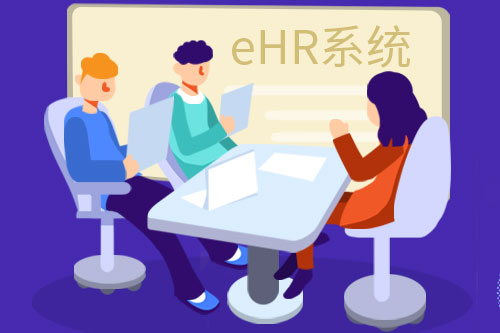 尊龙凯时科技具有多年HR软件系统妄想履历